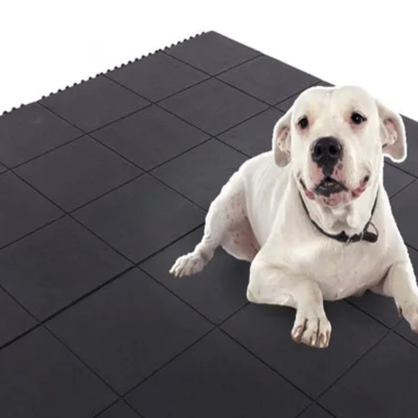 Interlocking Rubber Kennel Floor Tile with Solid Top
